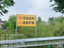 河坡明令禁种却乱象依旧 警示牌形同虚设监管流于形式
