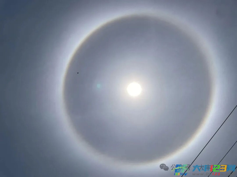 微信图片_2026-04-16_152106_031.jpg